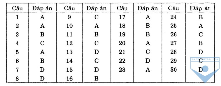 dap an bai so 25