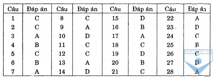 dap an bai so 29