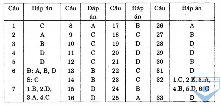 dap an bai so 4