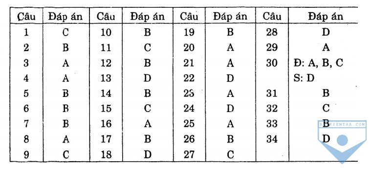 dap an bai 3