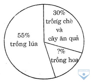 luyen tap chung 2