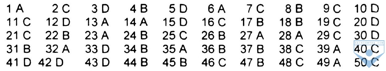 dap an bai 33