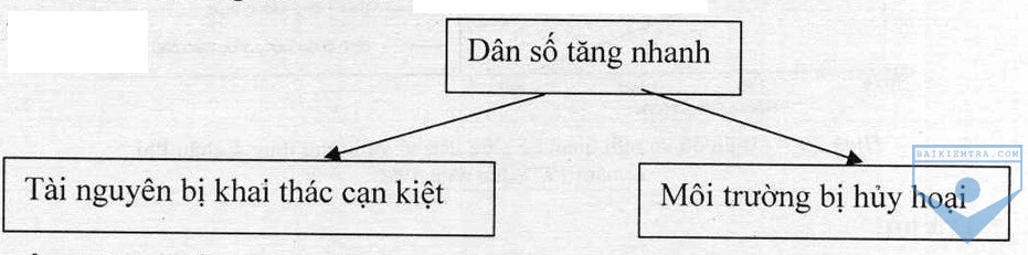 hinh 2