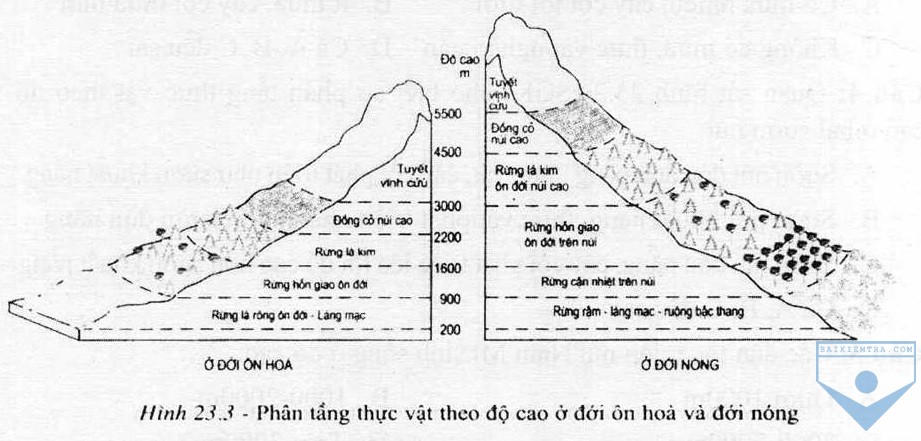 hinh 23.3