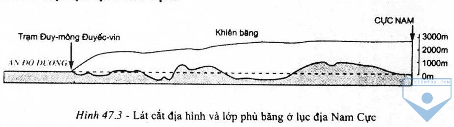 hinh 47.3