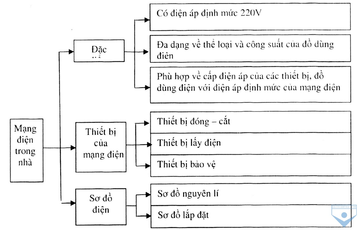 h1 tongket