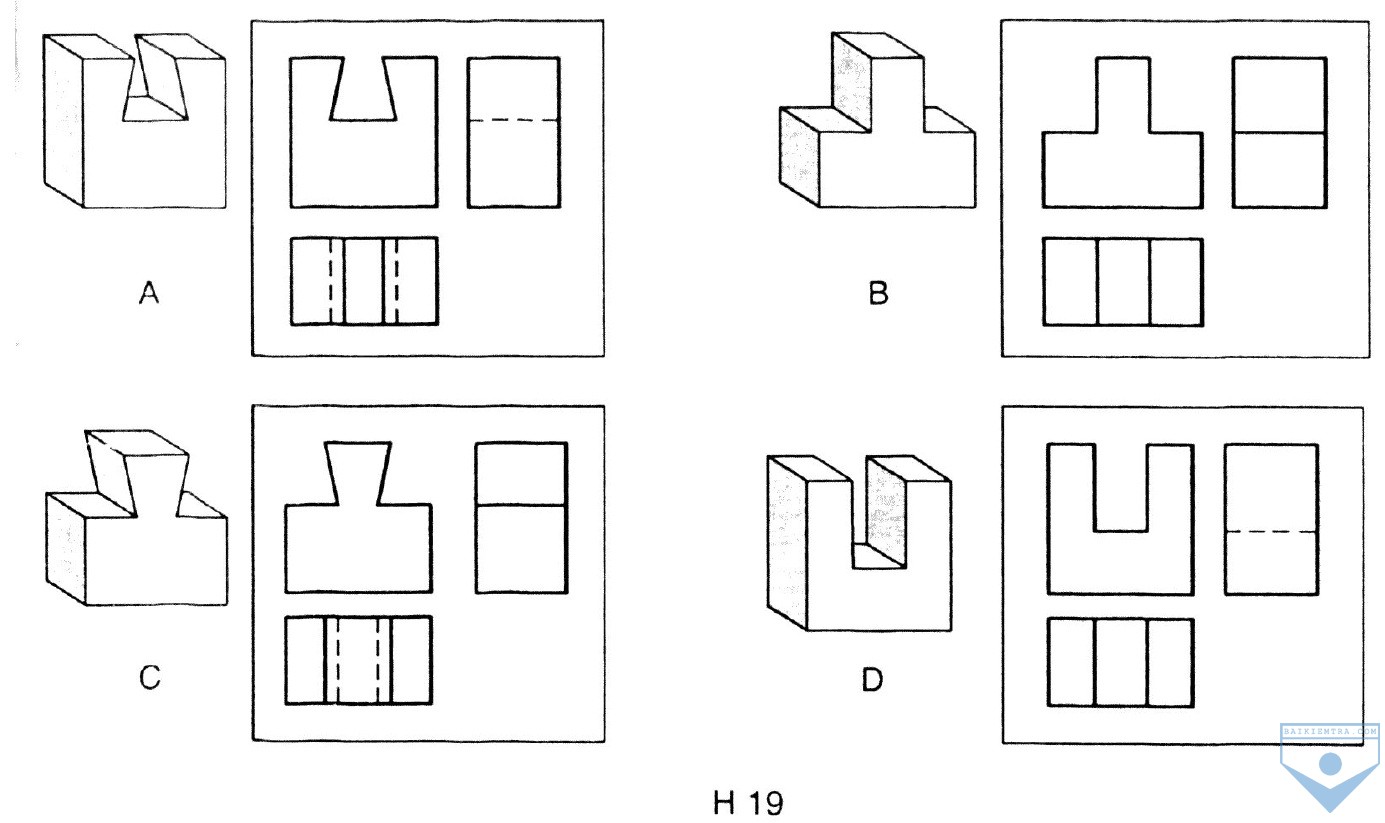 h19