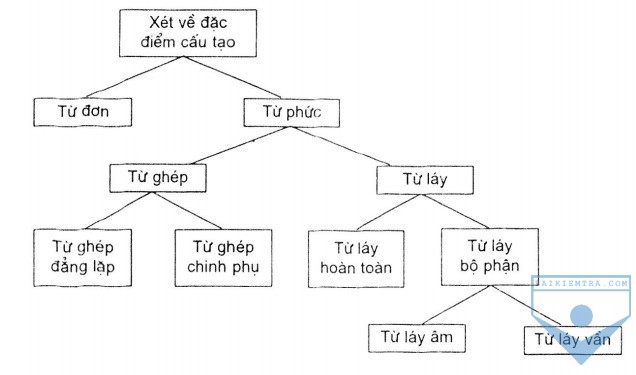 hinh 1