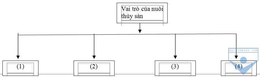 bai 49