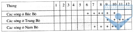 bang 33.1