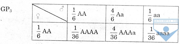b3
