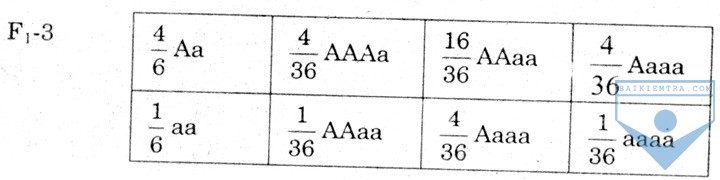 b4