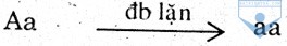 c1 b