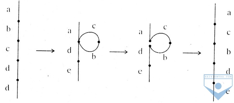 d5 2