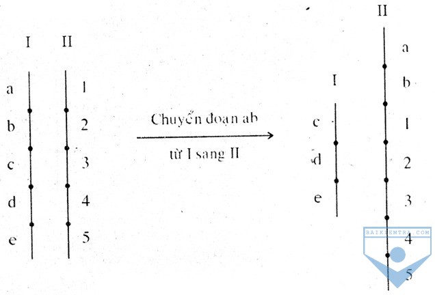 d5 4