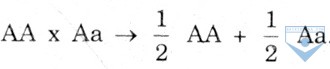 d7 b