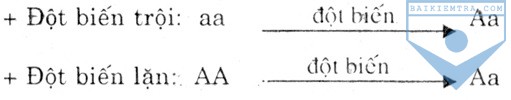 d9
