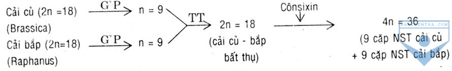 de 19