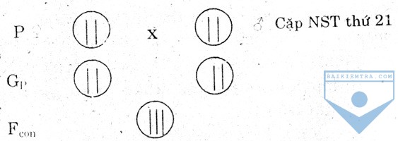 de6b