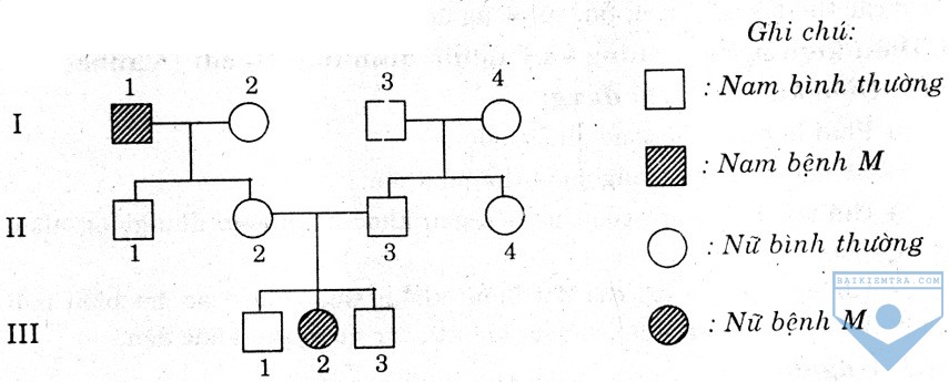 d5