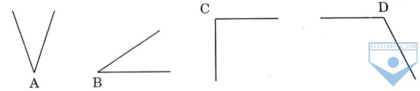 bai 167a