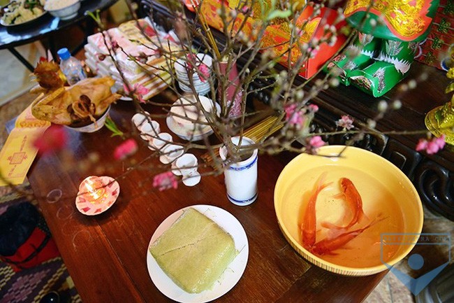 cung ong cong ong tao
