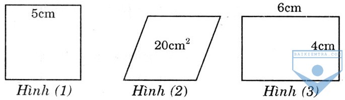 hinh 95a