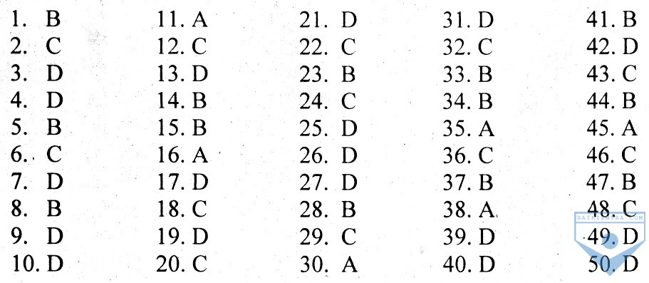 DA unit 11, de 2