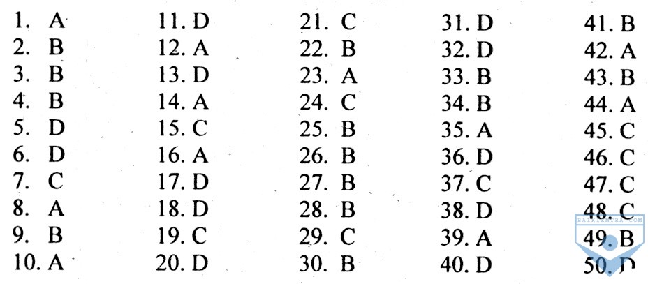 DA unit 13, de 1