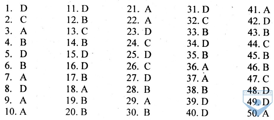 DA unit 13, de 2