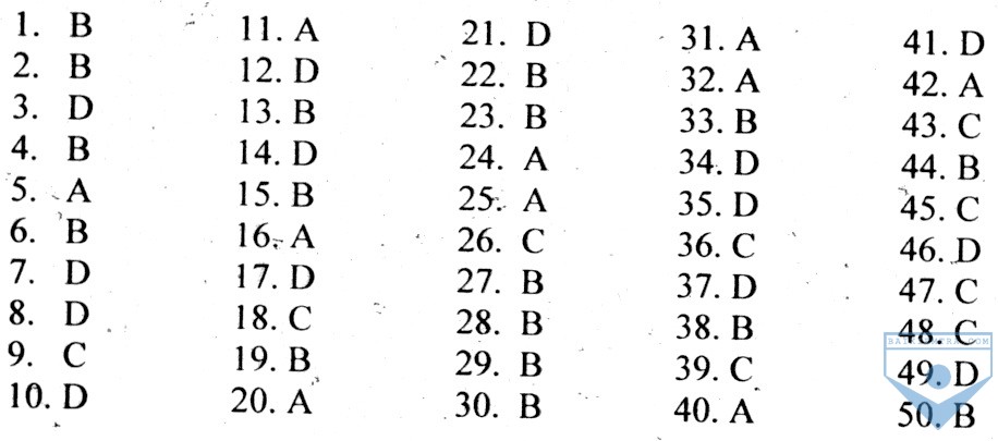DA unit 15, de 1