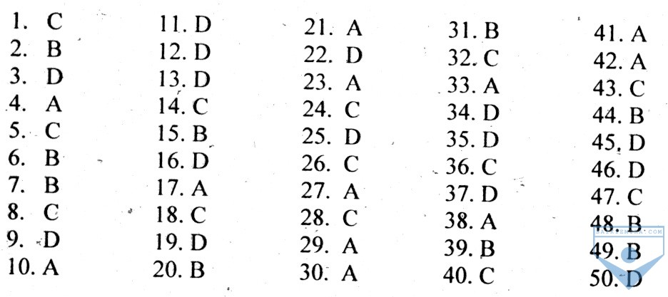DA unit 15, de 2