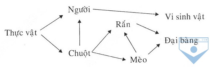 so do luoi thuc an