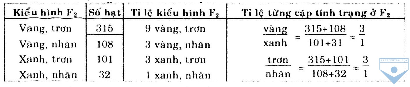 bang 4