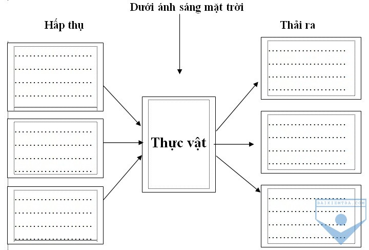 hinh1