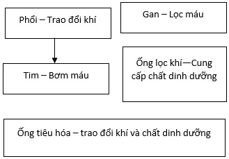 b22, c5