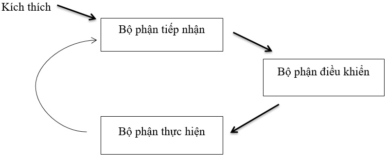 b22,c6,2