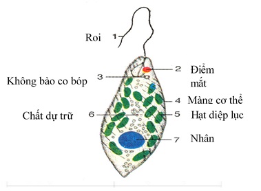 bai 1 trang 13 sgk sinh hoc 7
