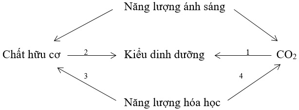 h1