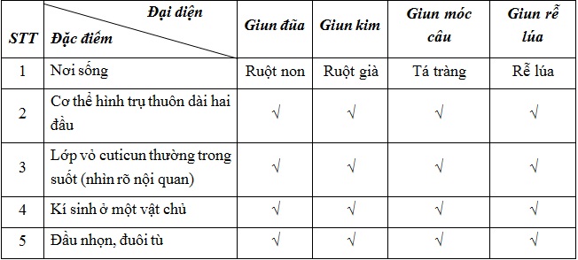 tra loi cau hoi sinh 7 bai 14 trang 51