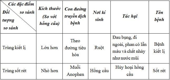tra loi cau hoi sinh 7 bai 6 trang 24