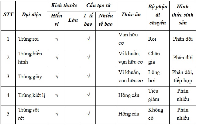 tra loi cau hoi sinh 7 bai 7 trang 26