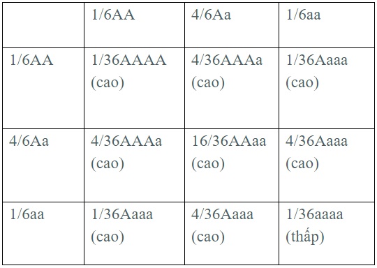 b15,2