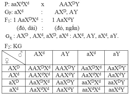 b15,4,cii