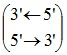 b23,3