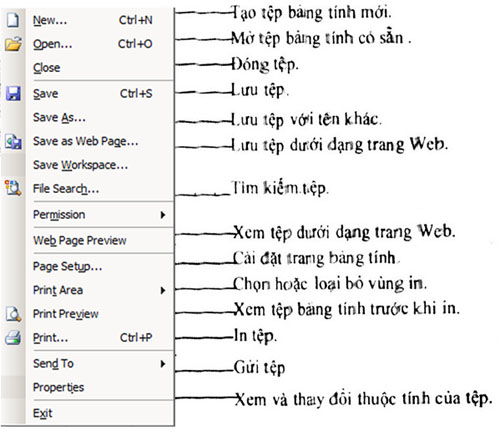bang chon file