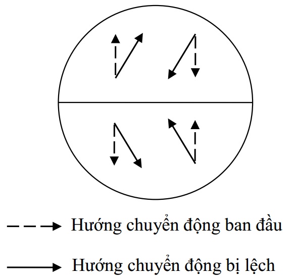 Trả lời câu hỏi Địa lí 6, bài 7: Sự vận động tự quay quanh trục của trái đất và các hệ quả