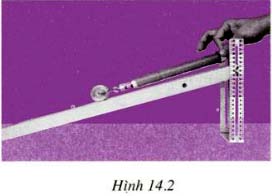 hinh 14 2