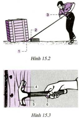hinh 15 2 va 15 3