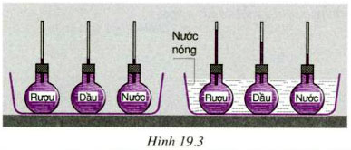 hinh 19 3